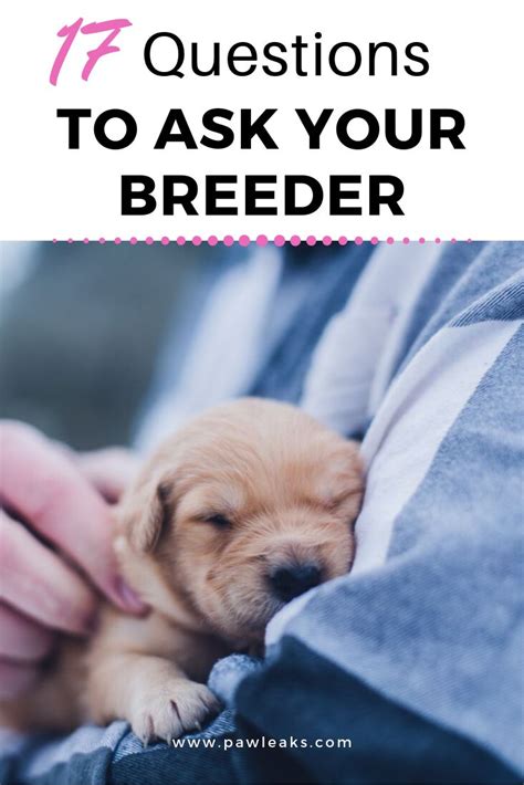  You may find yourself at the receiving end of a lot of questions from your breeder which is perfectly normal