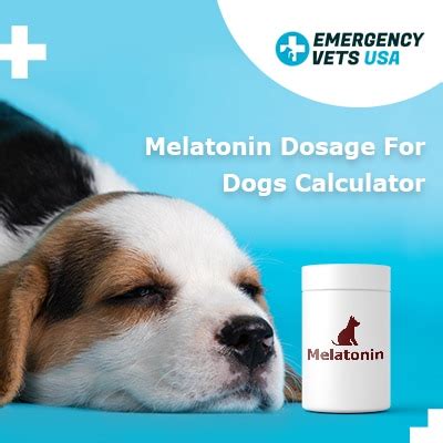  You may need to reduce the dose if sleepiness interferes with your pet