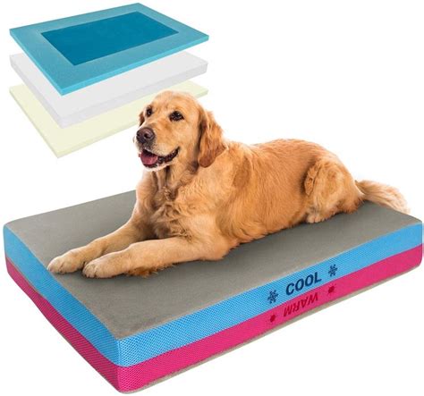  You might want to opt for an orthopedic doggie bed, which helps your girl or buy have a great rest after an active day