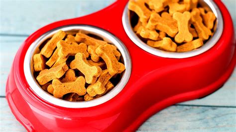  You should always avoid artificial ingredients if you want the healthiest treats for your dog