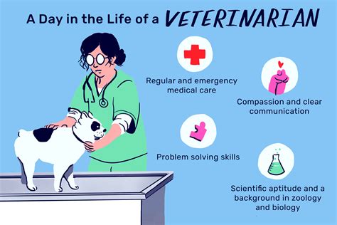  You should consult your veterinarian if you notice one or a combination of these symptoms