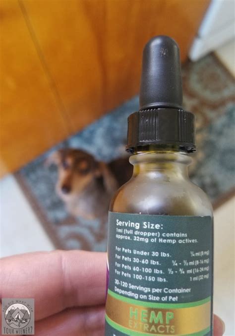  You should give your dog at least three months of treatment before deciding whether or not CBD oil is helping