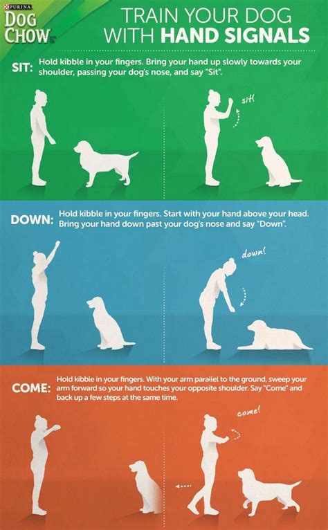  You will learn your puppies signals, likes, dislikes and needs and eventually it gets easier