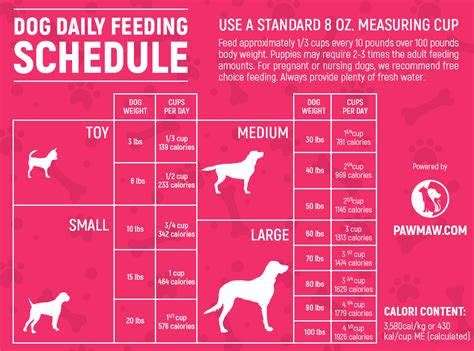 Your dog can be fed two meals per day, provided they are eating enough for their size, age, and activity level