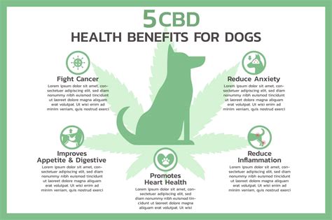  Your dog may, however, benefit from being given CBD as a supplemental treatment