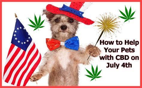  Your dog may also need an extra dose of CBD occasionally think: 4th of july, or extra cold days that make their joints stiff , or their needs may change as they get older