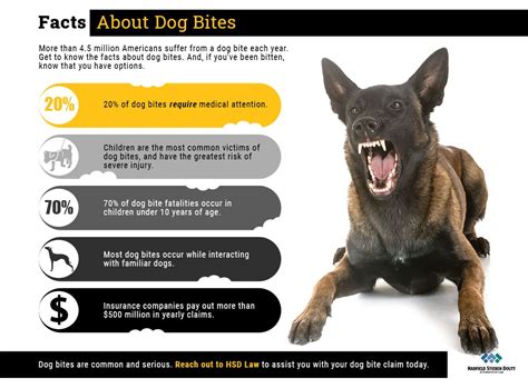  Your dog may misinterpret in excitement and can bite you