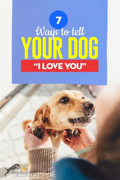  Your dog will love you for it! There are several good articles on how to do it properly
