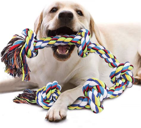  Your dog will need some strong toys, adapted to her age
