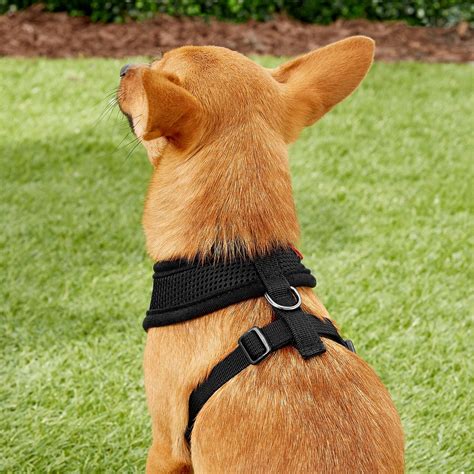  Your dog will want to go out for a walk more often wearing the Puppia Soft Dog Harness