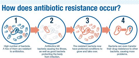  Your medication will also exclude any bacteria that have become resistant to antibiotics