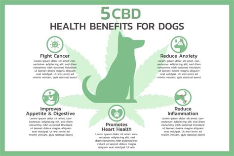  Your pet may need more or less CBD, depending on their unique needs