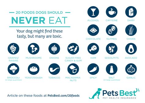  Your pup might not eat much during the first few weeks of being on solid food, so one, to one and a half cups will be more than enough divided into three meals during the day