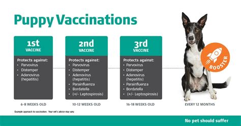  Your puppy will receive several rounds of the vaccine depending on her age