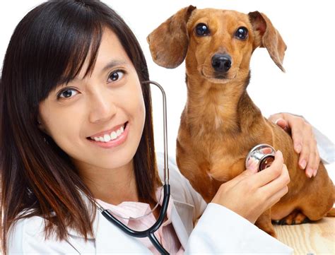  Your vet can detect it and prescribe the proper treatment