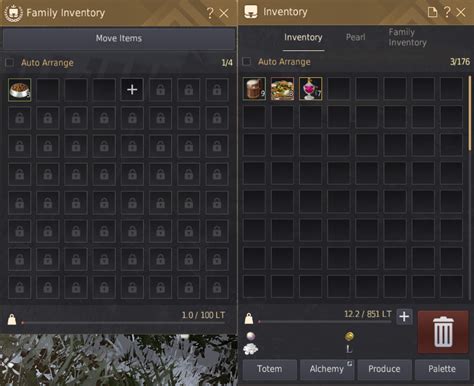  bdo inventory slots