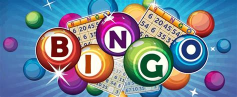  bingo online brasil