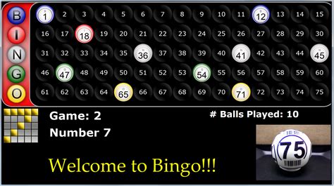  bingo programm
