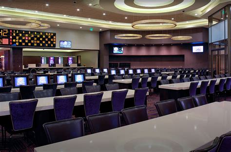  bingo room casino