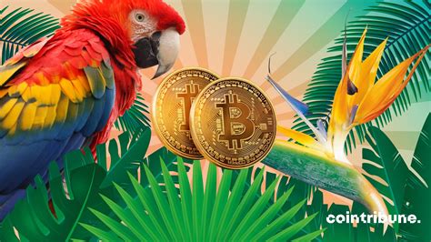  bitcoin casino dominican republic btccasino2022 com