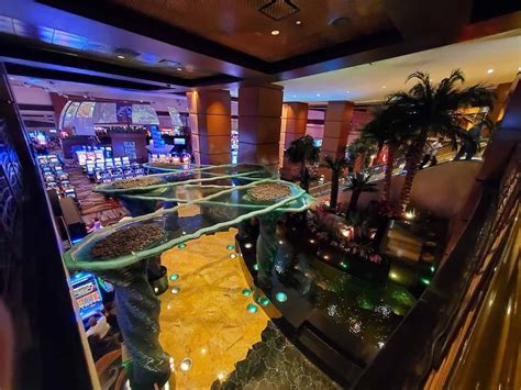  blackjack casino fort lauderdale
