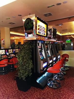  casino automati/irm/modelle/terrassen