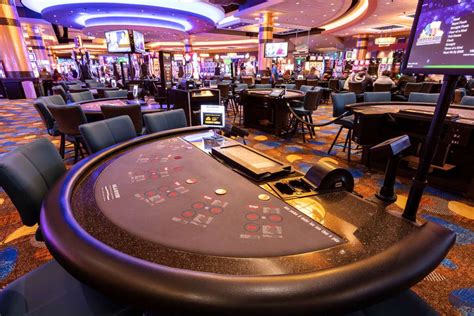  casino casino wild
