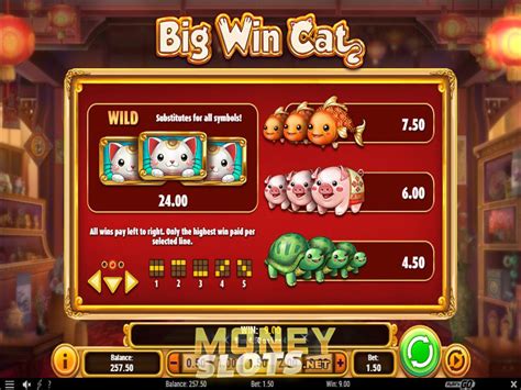  cats slots big win