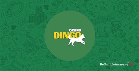  dingo casino 14 euro