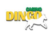  dingo casino code