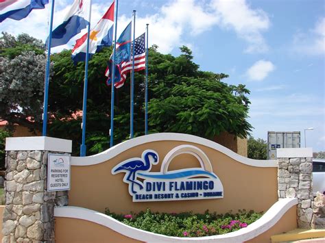  divi flamingo beach resort casino