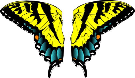 나비 날개 일러스트 (71Xyo20)