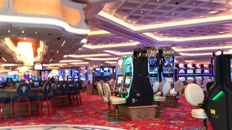  florida casino age/irm/premium modelle/violette/service/3d rundgang