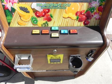  fruit bonus 96 slot machine