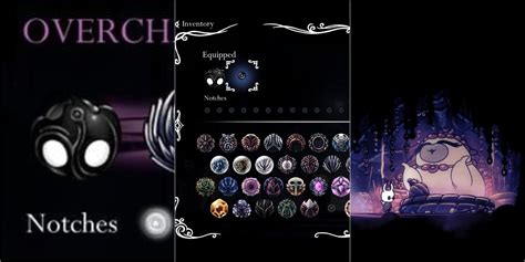  hollow knight charm slots/irm/modelle/loggia bay