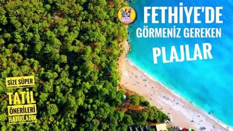 codini.rgarabwor.edu.pl. 