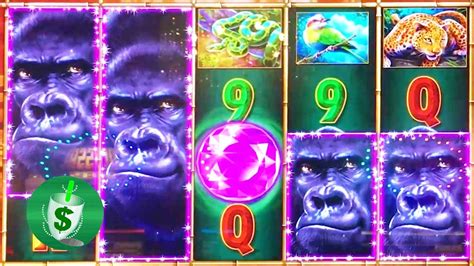  majestic gorilla slot machine free play youtube