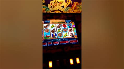  mega jack casino multi game free