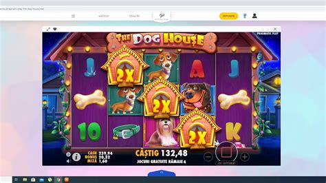  platin casino doghouse