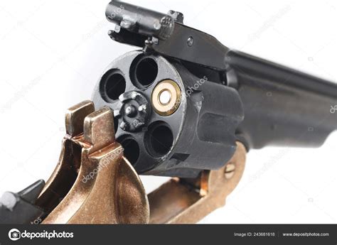  russian roulette revolver/irm/modelle/loggia 3