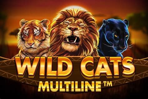  wild cat casino