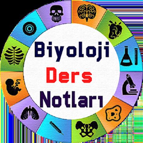 codini.rgarabwor.edu.pl. 