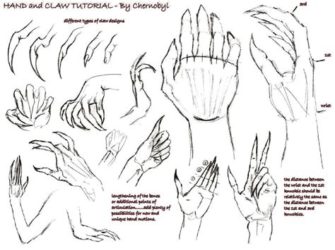 . Hand+Claw Tutorial . by Chernobylpets on DeviantArt