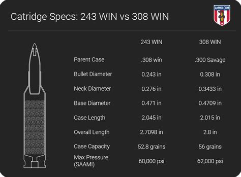 .243 vs .308 Win Caliber Comparison Ammo Guide for Hunters