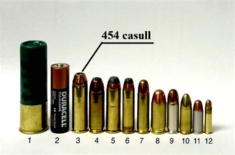 .454 Casull vs s&w 500 - Trapperman Forums