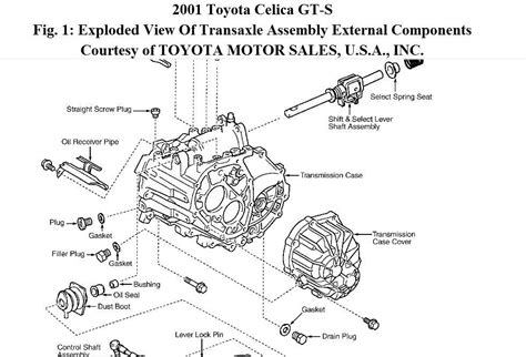 00 toyota celica transmission repair manual. - Boerickes new manual of homeopathic materia medica with repertory.