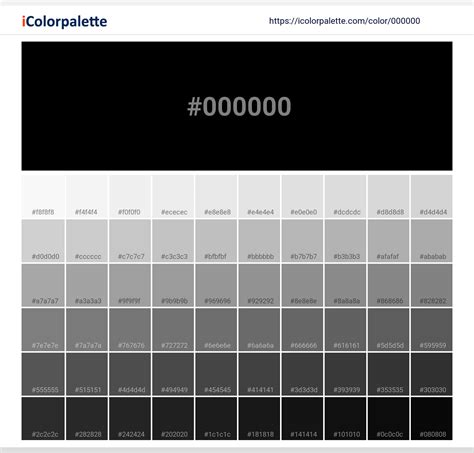 000000 color
