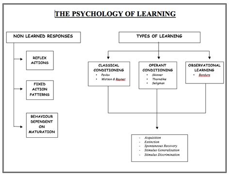 003 Psychological Flow