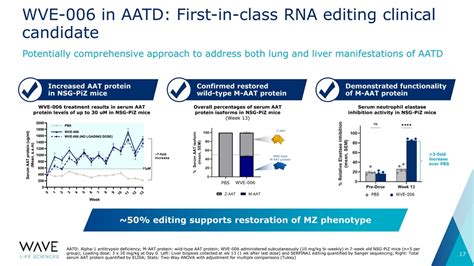 006 - Pie or Bar? A Guide to Choosing Chart Types - wintechmobiles.com