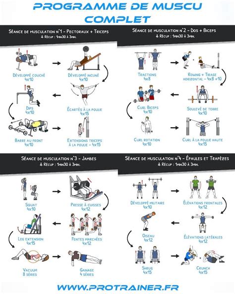 01 Programme De Musculation Regulier Debutant